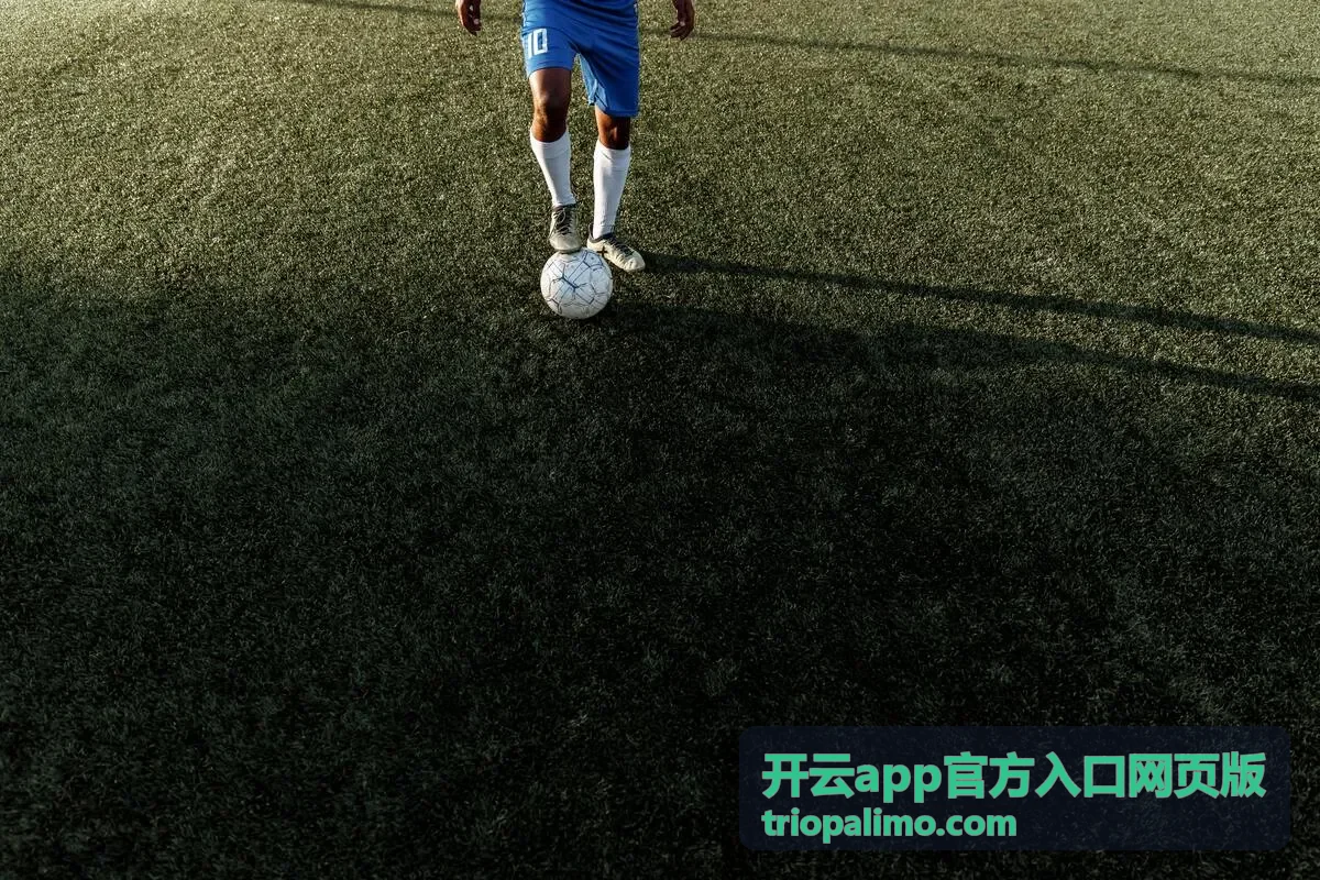 开云app官方入口网页版功能操作界面示意