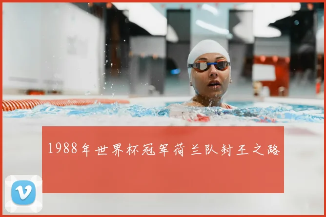 1988年世界杯冠军荷兰队封王之路