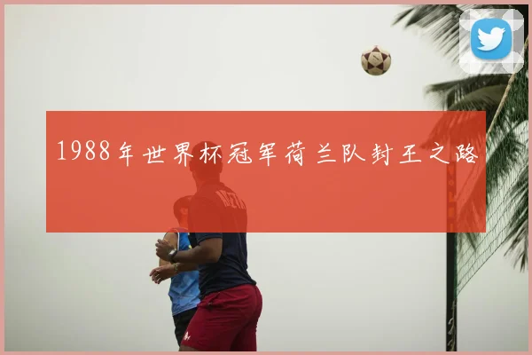 1988年世界杯冠军荷兰队封王之路