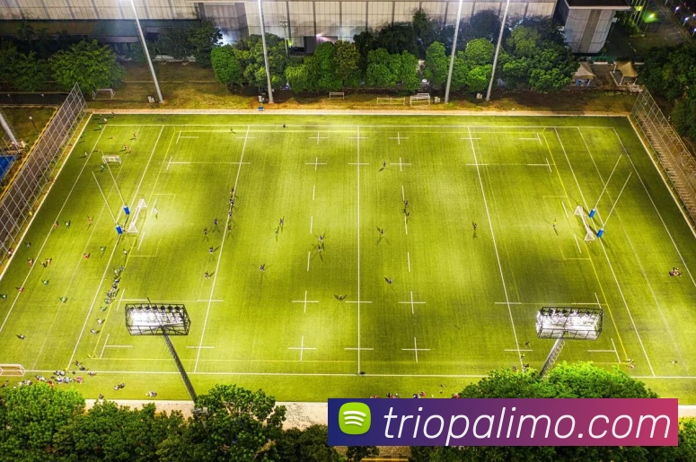 App Interface Preview